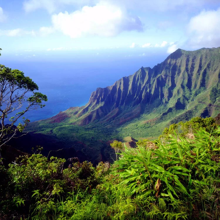 Overview Of The Kalalau Valley, Na Pali Coast State Park, Kaua'i, Hawai'i, USA