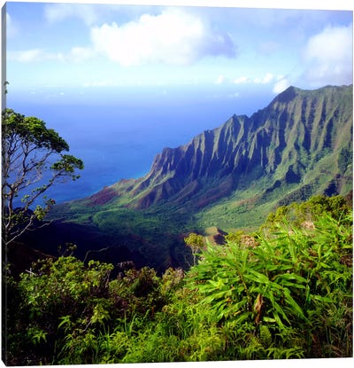 Overview Of The Kalalau Valley, Na Pali Coast State Park, Kaua'i, Hawai'i, USA Canvas Art Print - Hawaii Art