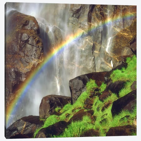 Rainbow Across Bridalveil Fall, Yosemite Valley, Yosemite National Park, California, USA Canvas Print #CTF8} by Christopher Talbot Frank Art Print