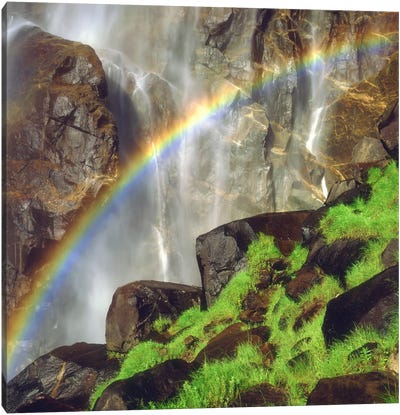 Rainbow Across Bridalveil Fall, Yosemite Valley, Yosemite National Park, California, USA Canvas Art Print - Yosemite National Park Art