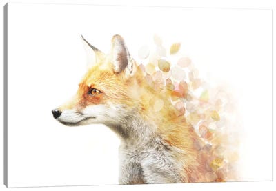 Winter Foxy Canvas Art Print - Rustic Décor