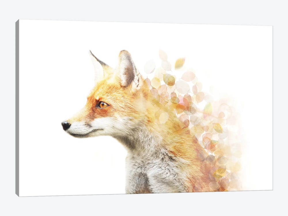 Winter Foxy by Emanuela Carratoni 1-piece Canvas Print