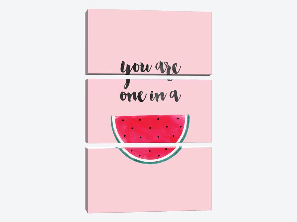 You Are One In A Watermelon by Emanuela Carratoni 3-piece Canvas Artwork