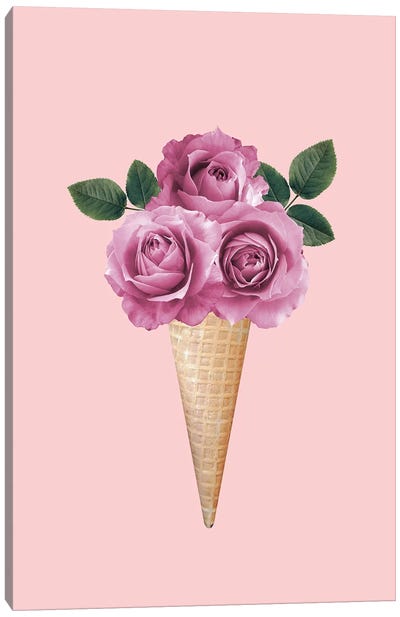 Floral Icecream Canvas Art Print - Ice Cream & Popsicle Art