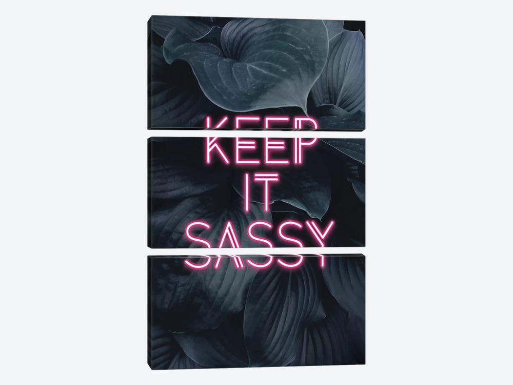 Keep It Sassy by Emanuela Carratoni 3-piece Canvas Wall Art