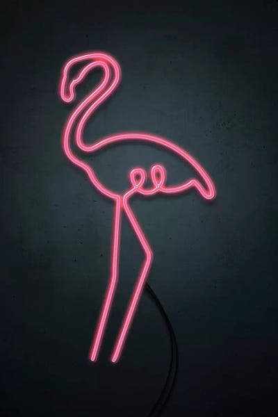 Neon: Neon Flamingo by Emanuela Carratoni