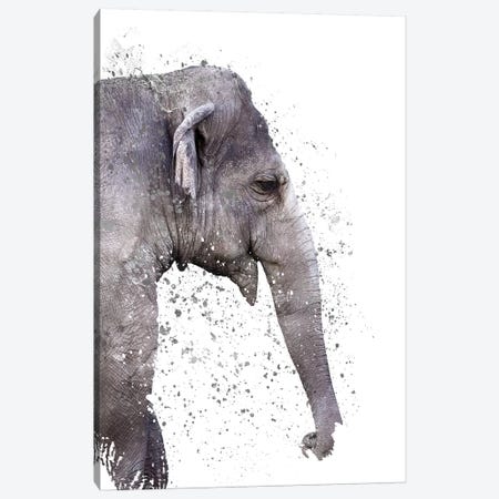 The Big Elephant Canvas Print #CTI120} by Emanuela Carratoni Canvas Artwork