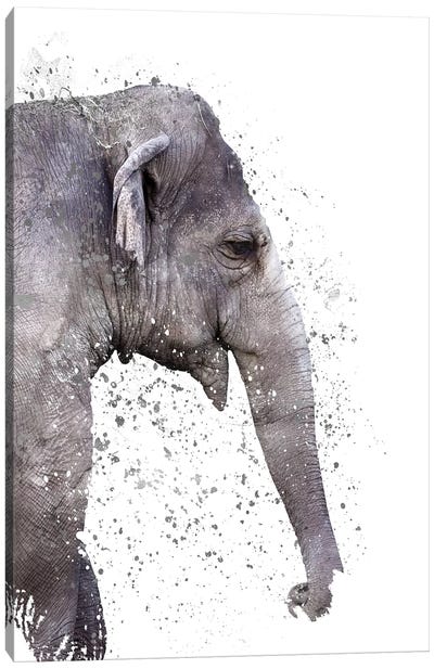 The Big Elephant Canvas Art Print - Emanuela Carratoni
