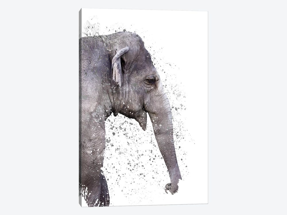 The Big Elephant by Emanuela Carratoni 1-piece Canvas Art Print