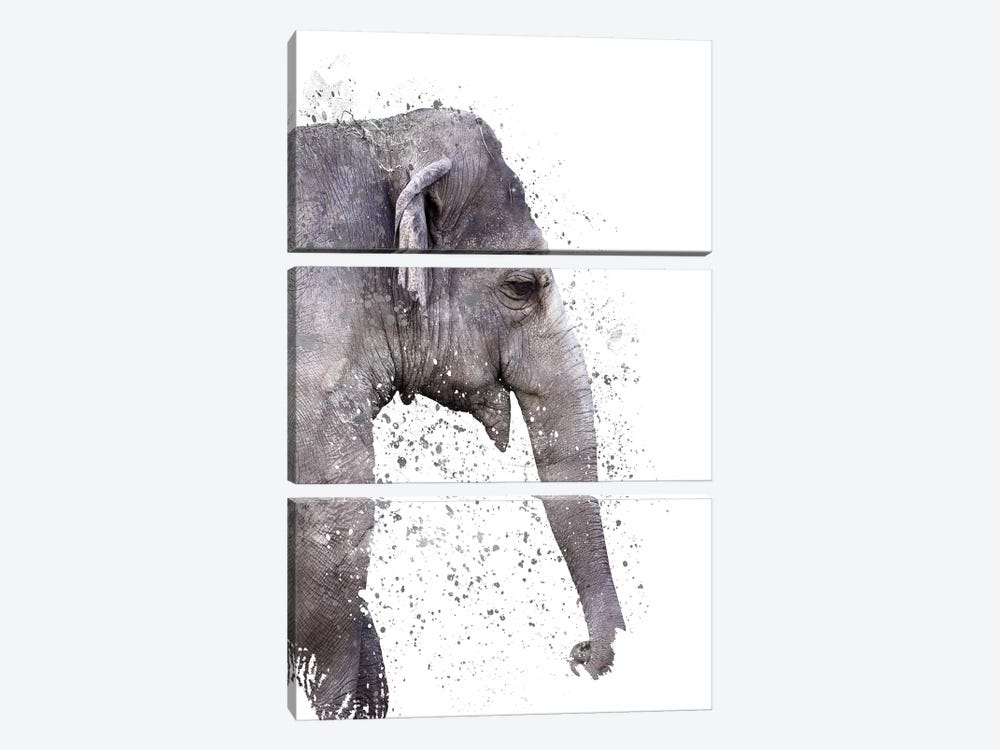 The Big Elephant by Emanuela Carratoni 3-piece Canvas Art Print