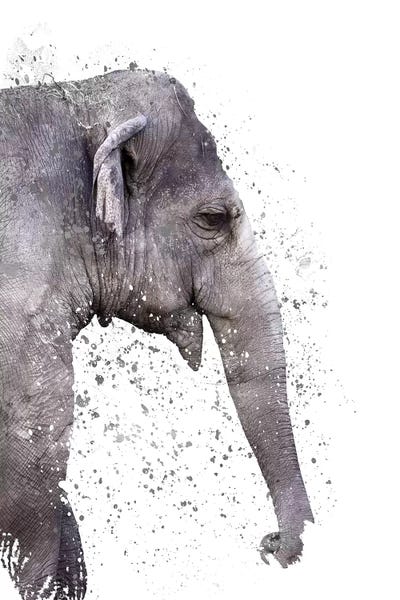 The Big Elephant
