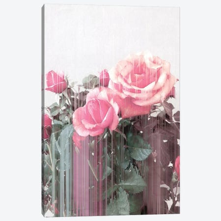 Rose All Day Canvas Print #CTI137} by Emanuela Carratoni Canvas Art