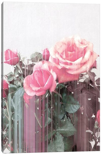 Rose All Day Canvas Art Print - Green & Pink Art