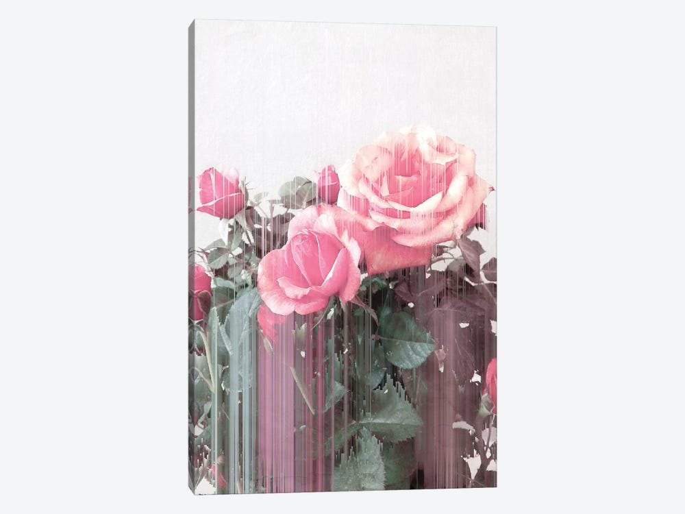 Rose All Day by Emanuela Carratoni 1-piece Canvas Art Print