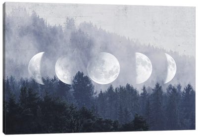 The Lost Moon Canvas Art Print - Evergreen Tree Art