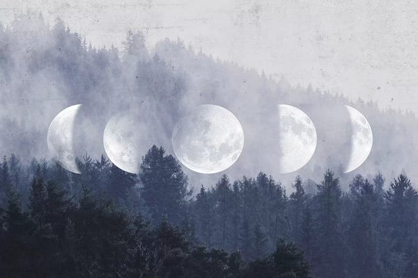 Evergreen Trees: The Lost Moon by Emanuela Carratoni