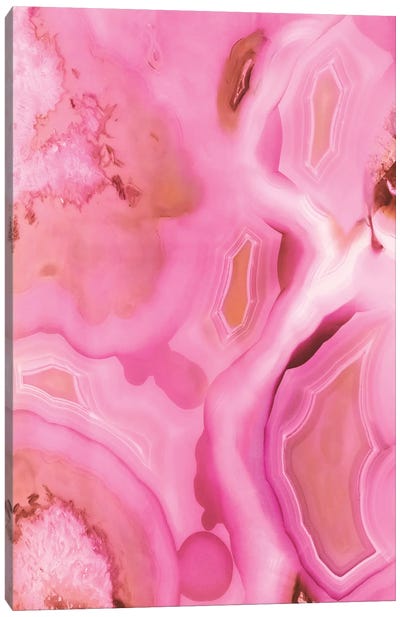 Juicy Pink Agate Canvas Art Print - Agate, Geode & Mineral Art
