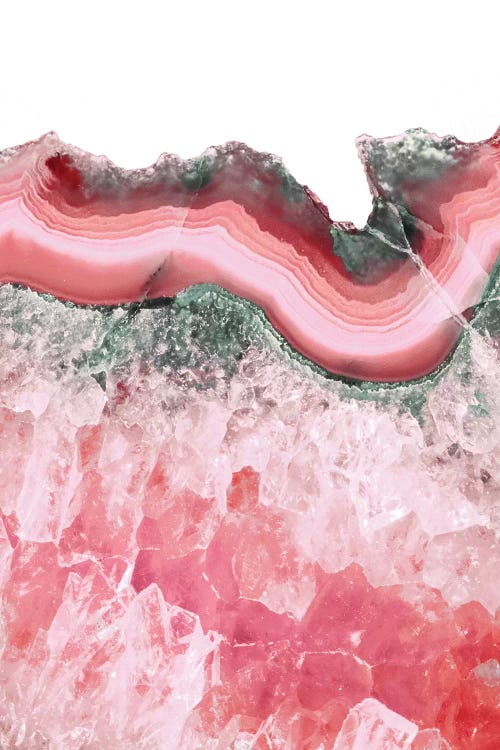Living Coral Agate
