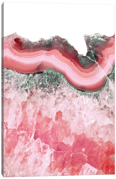 Living Coral Agate Canvas Art Print - Agate, Geode & Mineral Art