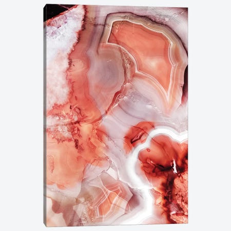 Living Coral Gemstone Canvas Print #CTI150} by Emanuela Carratoni Canvas Print