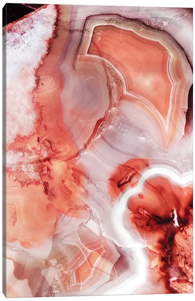 Living Coral Gemstone Canvas Art Print - Agate, Geode & Mineral Art