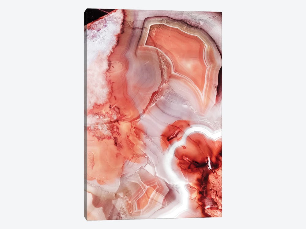 Living Coral Gemstone by Emanuela Carratoni 1-piece Canvas Art