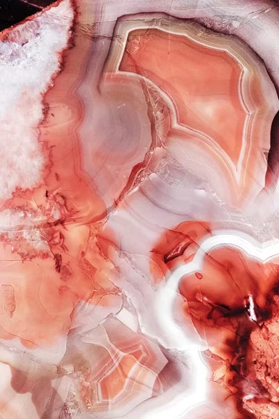 Agates, Geodes & Minerals: Living Coral Gemstone by Emanuela Carratoni