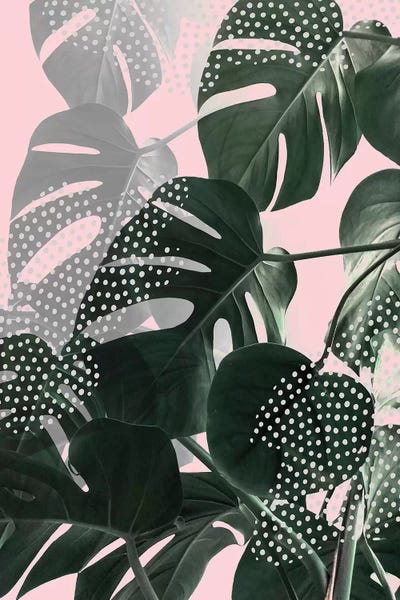 Monsteras: Monsteras On Pink by Emanuela Carratoni