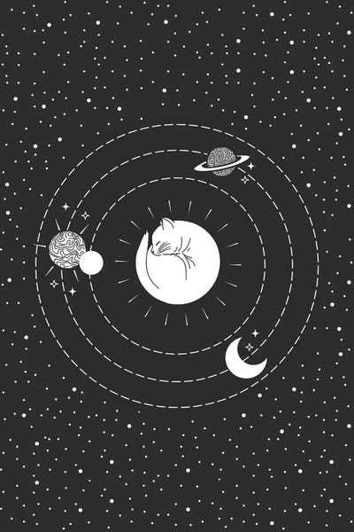 Space Cat