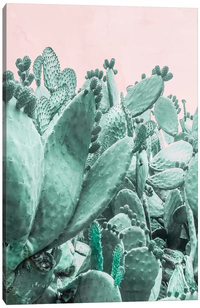 Cactus Forest On Pink Canvas Art Print - Emanuela Carratoni
