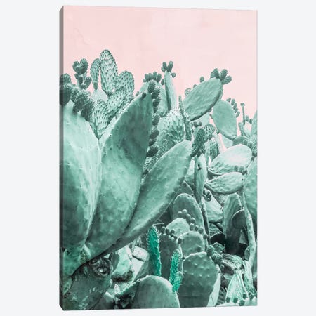 Cactus Forest On Pink Canvas Print #CTI199} by Emanuela Carratoni Art Print