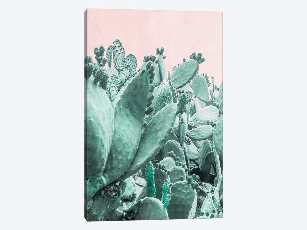 Cactus Forest On Pink by Emanuela Carratoni 1-piece Canvas Art Print
