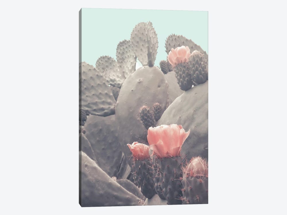 Desert Cactus Blossom by Emanuela Carratoni 1-piece Canvas Artwork