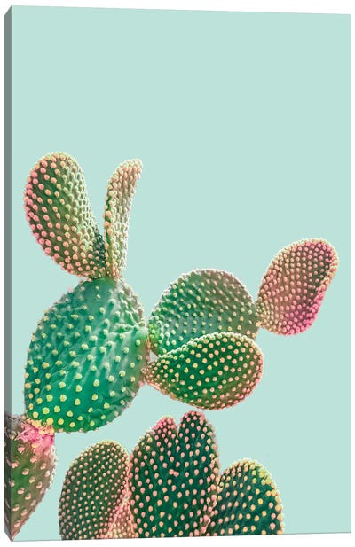 Pastel Cactus Canvas Art Print - The Minimalist
