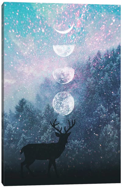 Deer And Moon Canvas Art Print - Emanuela Carratoni