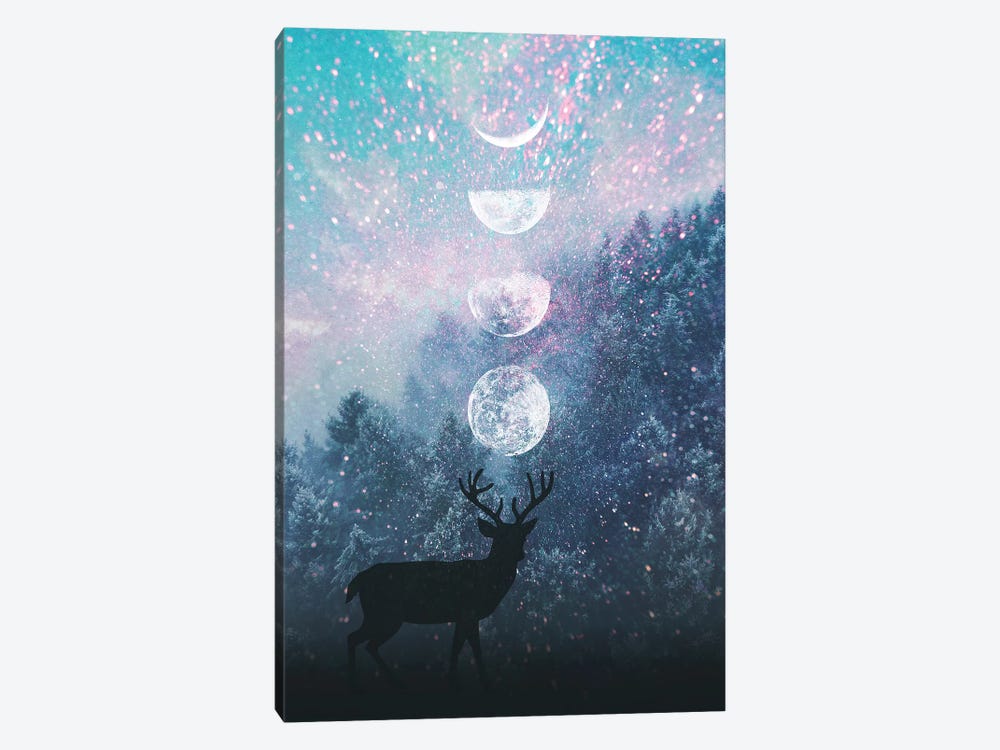 Deer And Moon by Emanuela Carratoni 1-piece Canvas Print