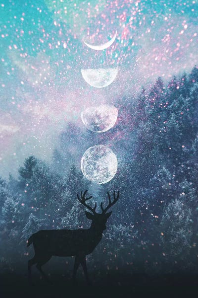 Deer And Moon