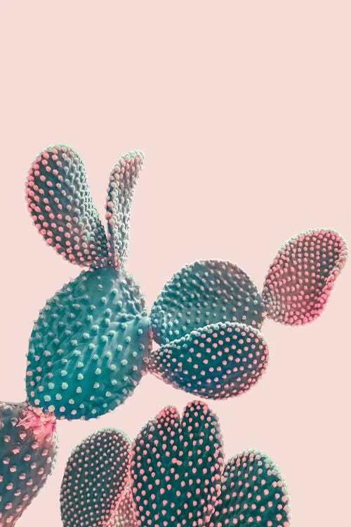 Pink Pastel Cactus