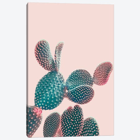 Pink Pastel Cactus Canvas Print #CTI216} by Emanuela Carratoni Canvas Print