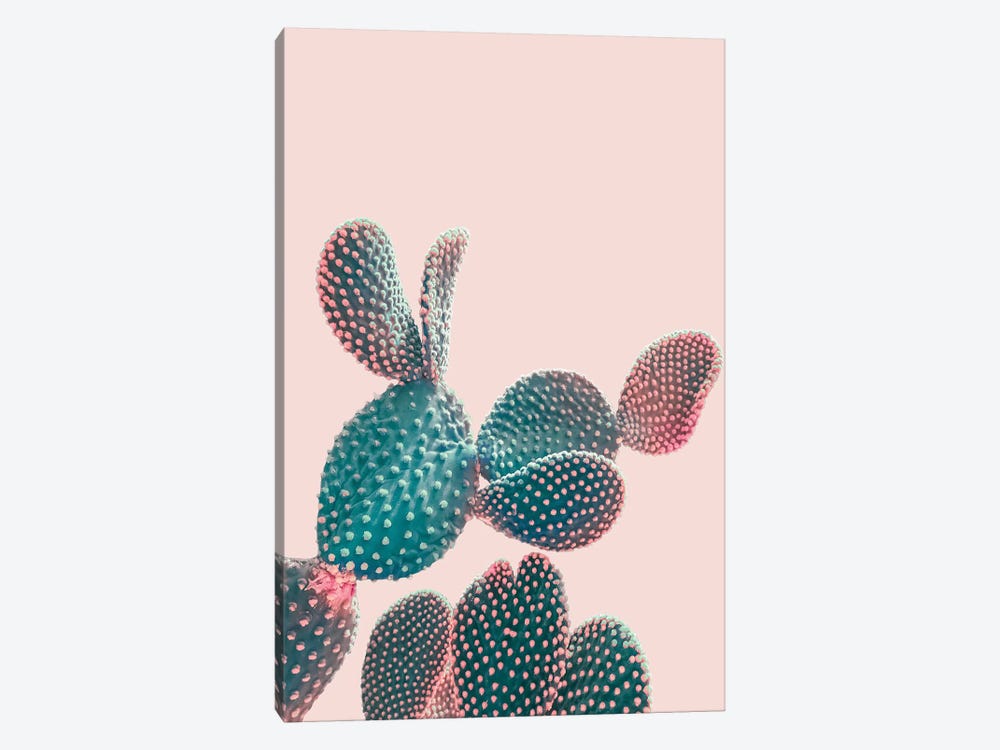 Pink Pastel Cactus by Emanuela Carratoni 1-piece Canvas Art
