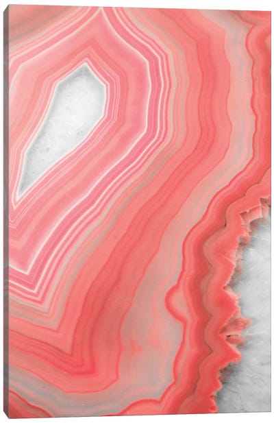 Coral Agate Canvas Art Print - Agate, Geode & Mineral Art