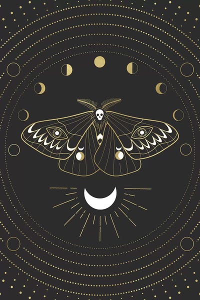 Moths: Moon Mothman by Emanuela Carratoni