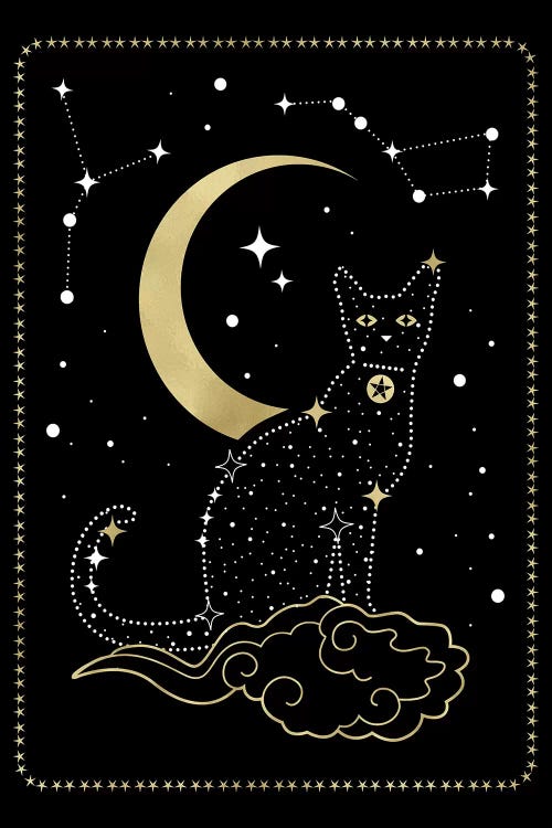 Cat Constellation