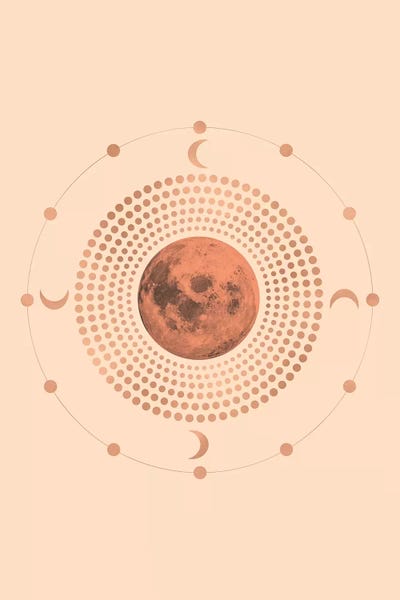 Delicate Moon