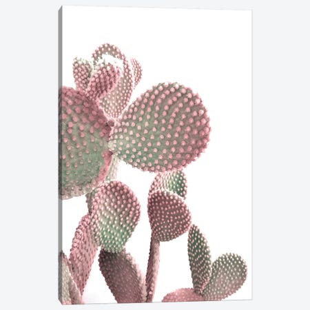 Cactus On White Canvas Print #CTI254} by Emanuela Carratoni Art Print
