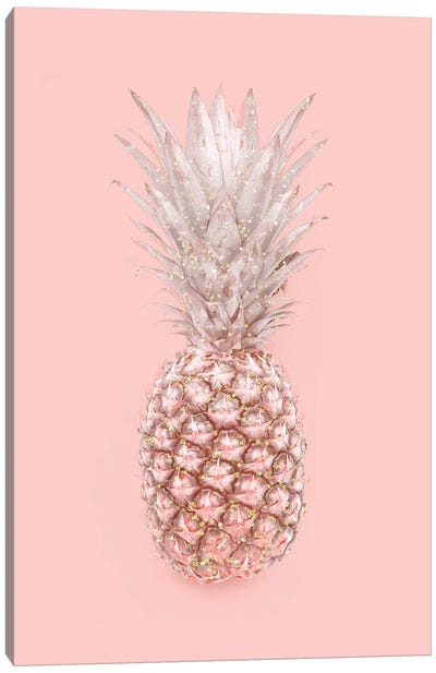 Pineapple On Pink Canvas Art Print - Pineapple Art