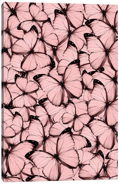 Pink Butterflies Canvas Art Print - Emanuela Carratoni