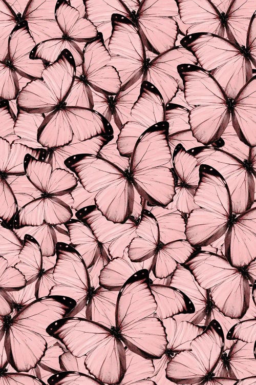Pink Butterflies by Emanuela Carratoni wall art