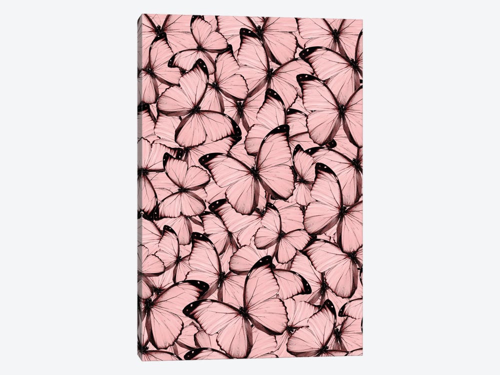 Pink Butterflies by Emanuela Carratoni 1-piece Canvas Artwork
