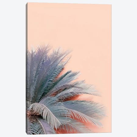 Blue Palms On Pink Canvas Print #CTI259} by Emanuela Carratoni Canvas Art